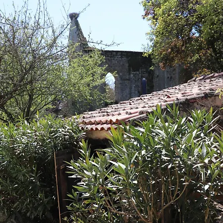 La Solitude Bois-de-Cené